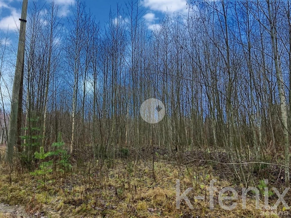 участок 8 сот